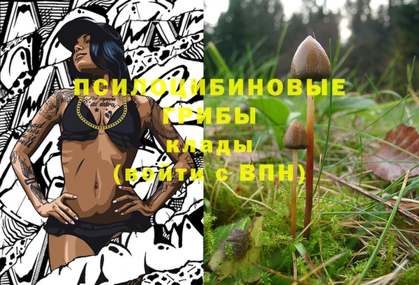 героин Армянск