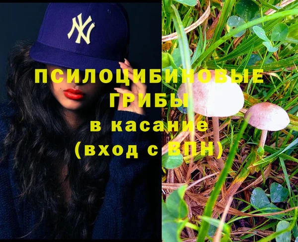 прущая мука Арсеньев
