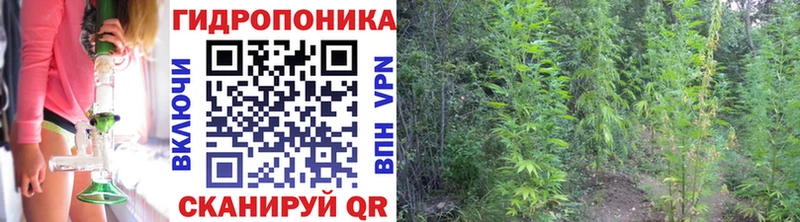 Бошки Шишки Amnesia МЕГА ТОР Старая Купавна